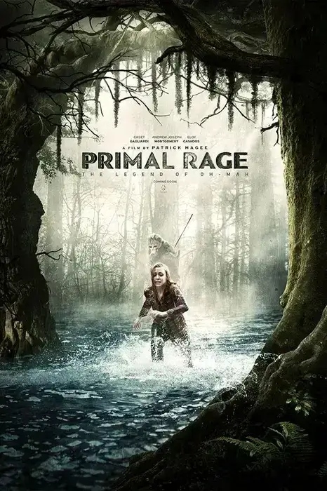 Fiction book cover